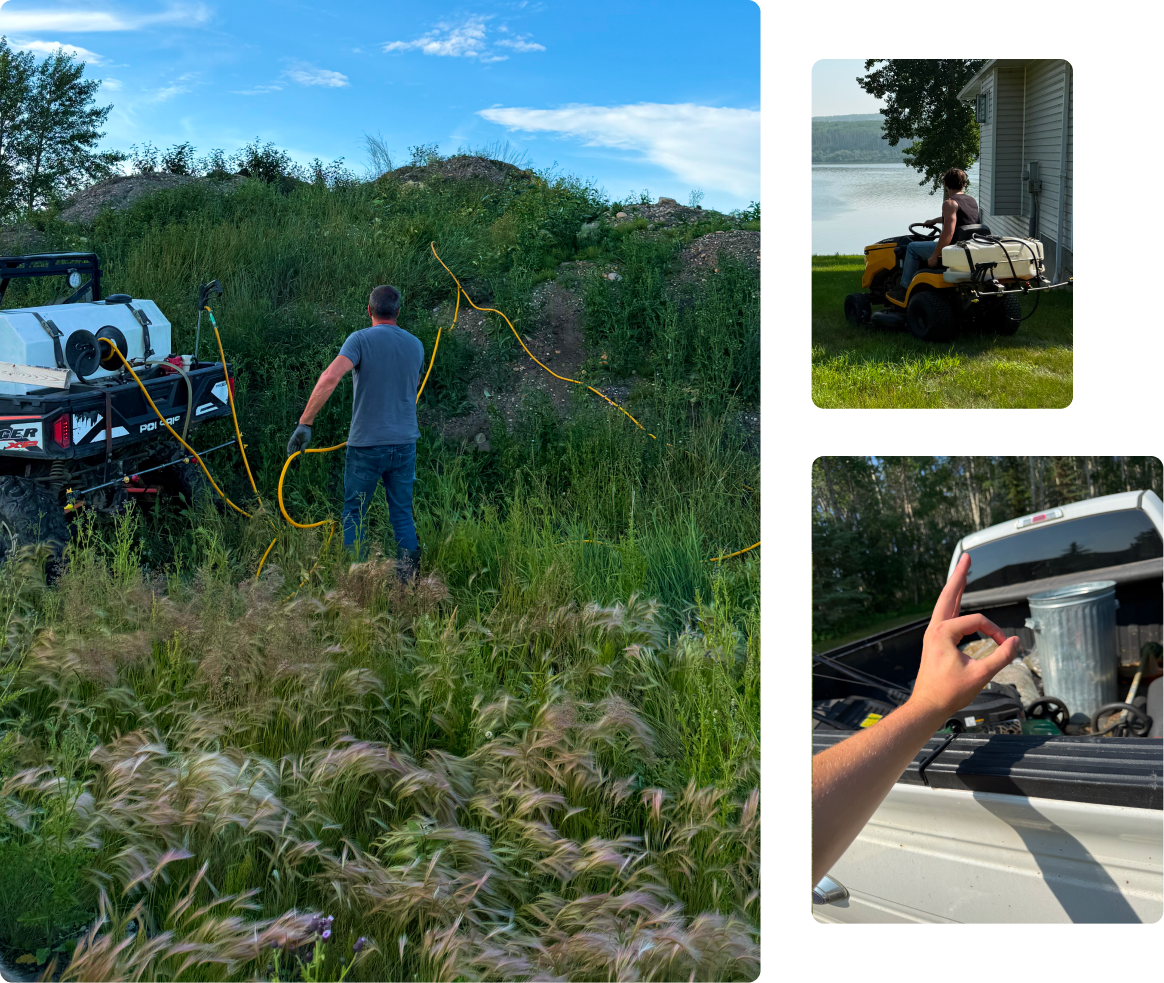 Dead Weed lawn-care process and field work